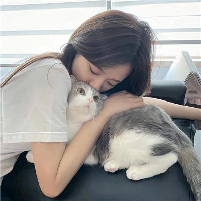 淑女绅士